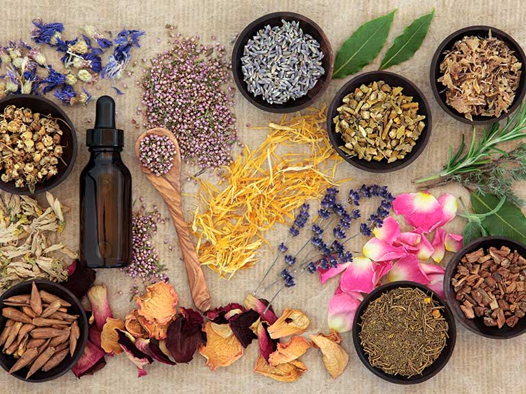 About Herbal Medicine